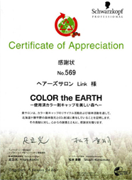 COLOR the EARTH 2010